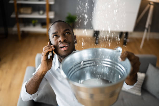 Best Emergency water damage restoration  in Campbellsburg, KY