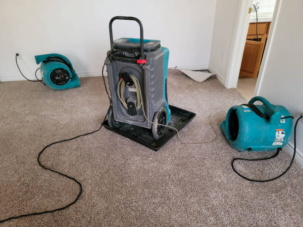 Best 24-hour water damage restoration  in Campbellsburg, KY