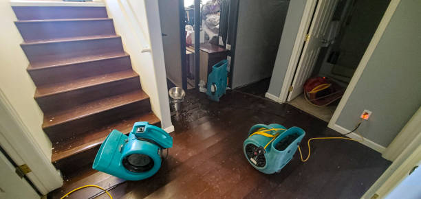 Best Water damage cleanup near me  in Campbellsburg, KY