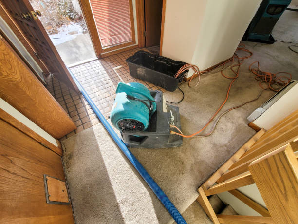 Carpet water damage restoration in KY