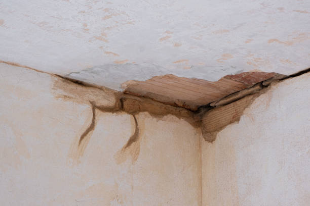 Best Residential water damage restoration  in Campbellsburg, KY