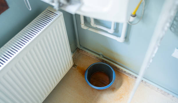Best Water damage mitigation services  in Campbellsburg, KY