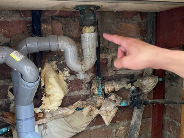 Best Ceiling water damage repair  in Campbellsburg, KY