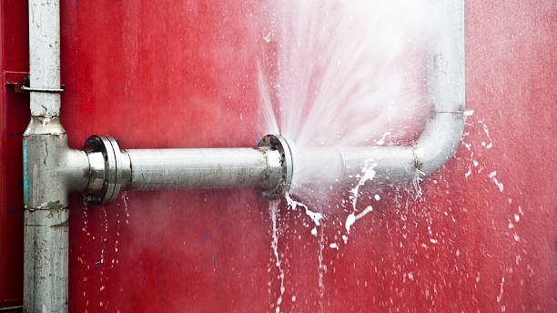 Best Local water damage restoration  in Campbellsburg, KY